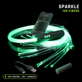BitWhip Fiber Optic Whip Kit